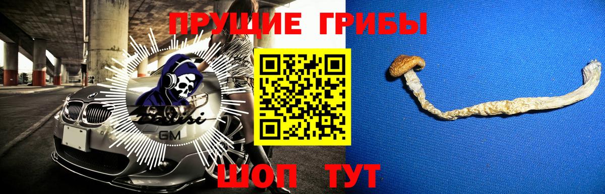 Псилоцибиновые грибы мицелий Майкоп