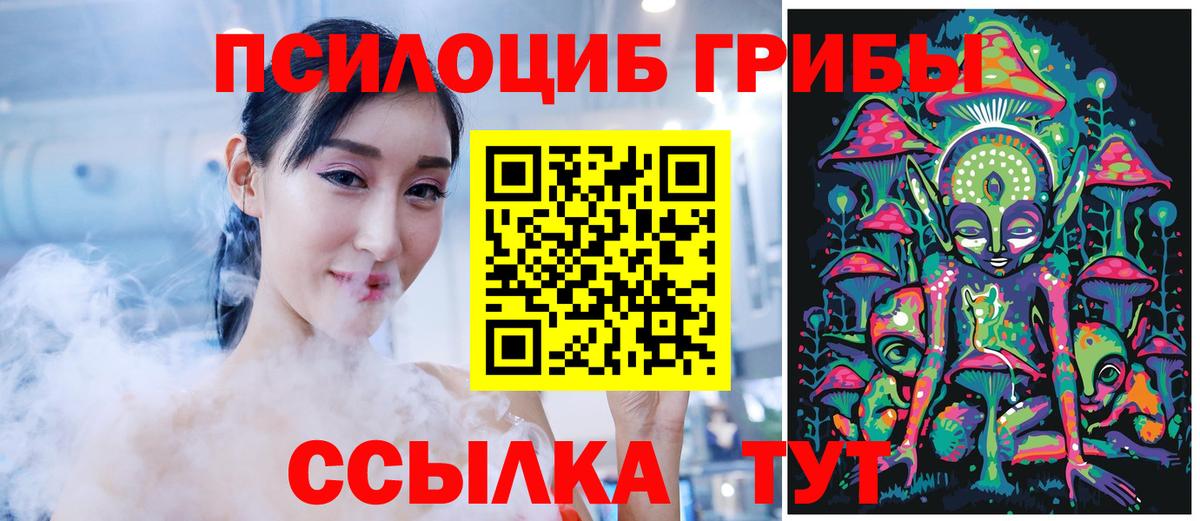 Псилоцибиновые грибы прущие грибы  Вход с VPN  Майкоп  Псилоцибиновые грибы Cubensis 
